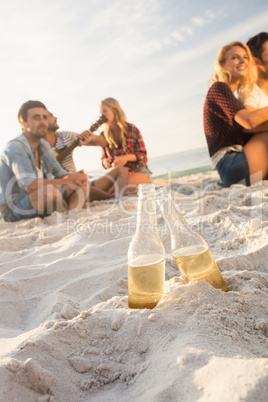 Smiling friends sitting on sand