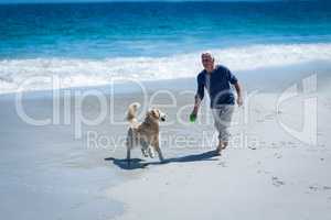 Mature man throwing a ball to his dog