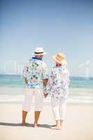 Senior couple holding hands on the beach