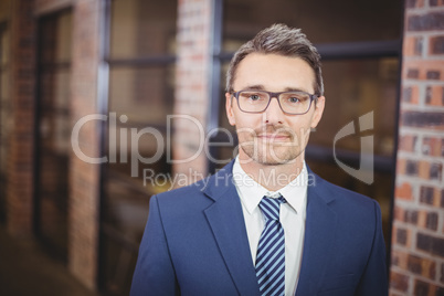 Confident businessman standing in office