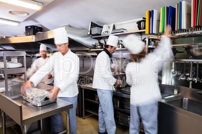 Team of chefs preparing food in the kitchen