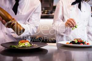 Two chefs garnishing meal on counter