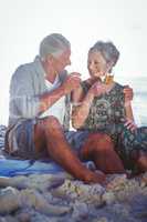 Senior couple having a picnic