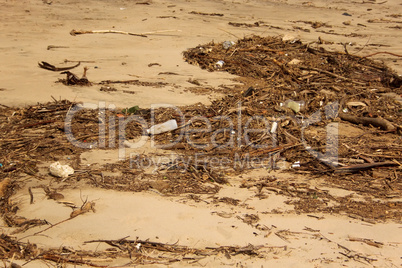 Waste Environmental Damage at Beach