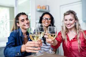Potrait of happy young female friends toasting wineglass