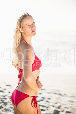 Pretty woman in bikini standing on the beach