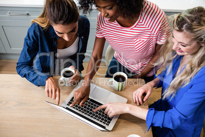 Young female friends using laptop while drinking coffee