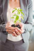 Mid section of businesswoman holding plant