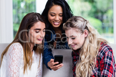 Young female friends looking in mobile phone