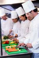 Team of chefs chopping vegetables