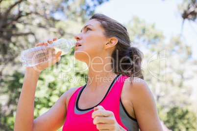 Young fit woman drinking water