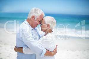 Senior couple embracing head to head