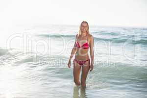 Young woman in bikini standing in water