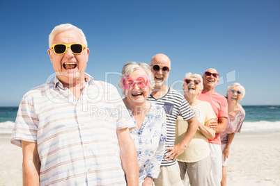 Portrait of smiling senior friends Portrait of smiling senior friends
