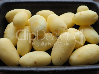 Potato vegetables in a tub