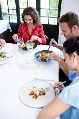 Group of friends having lunch