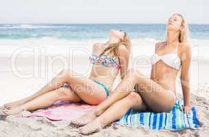 Pretty women in bikini relaxing on the beach