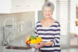 Portrait of senior woman holding colander with vegetables