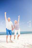 Smiling senior couple jumping