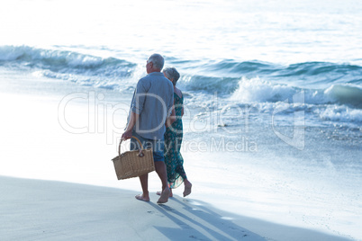 Senior couple with a picnic basket