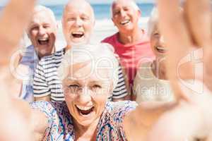 Senior friends taking selfie