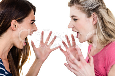 Female friends shouting while standing