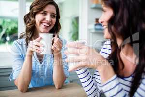 Smiling female friends holding coffee mugs while discussing
