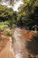 Muddy River Through Tropical Forest