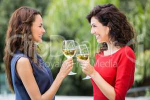 Smiling female friends toasting white wine
