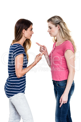 Female friends arguing while standing