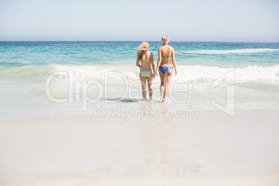 Two rear women walking on the beach