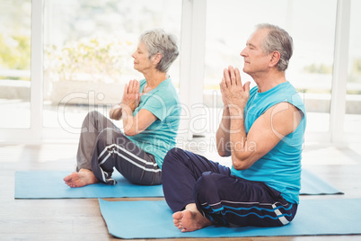 Senior couple performing yoga