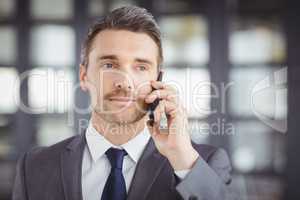 Handsome businessman talking on cellphone