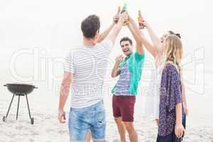 Group of friends toasting beer bottles on the beach