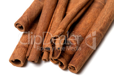 Cinnamon sticks on white