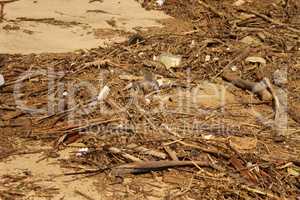 Waste Environmental Damage at Beach