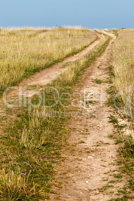 Summer landscape with yellow grass and road