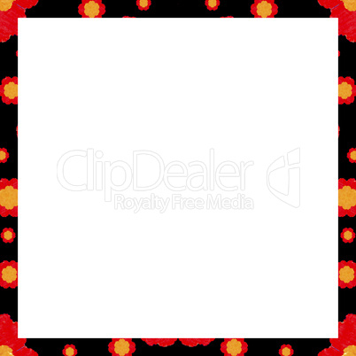 White Background with Decorated Borders