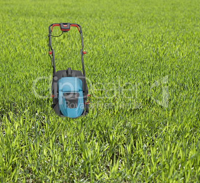 Lawn mower surrounded by high grass.