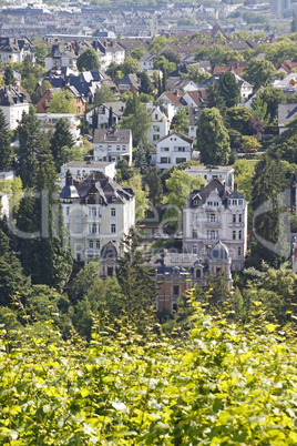 Blick auf Wiesbaden vom Neroberg