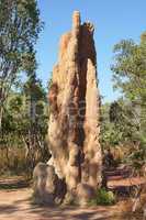 Termitenbauten, Litchfield National Park, Australien