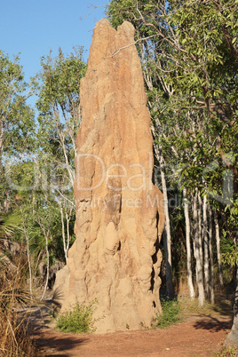 Termitenbauten, Litchfield National Park, Australien