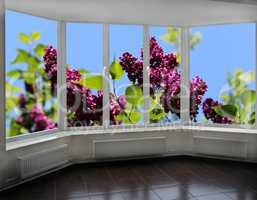 windows overlook the bush of lilac