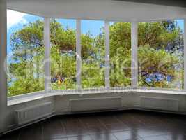 windows overlooking the green branches of pine
