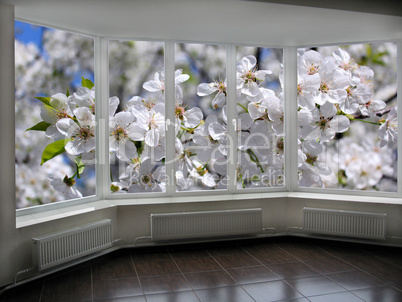 plastic windows overlooking the blooming garden