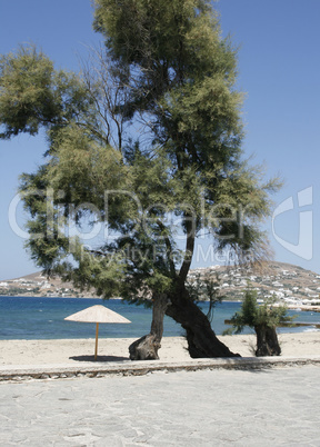 beach in summer sunny day