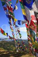 Colorful prayer flags