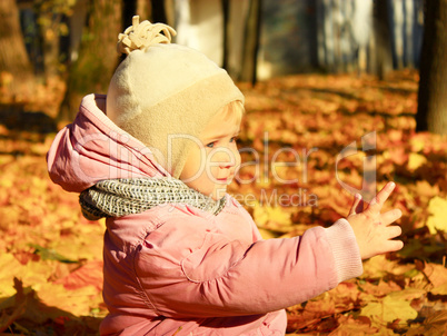 baby plays with Autumn leaves in the park