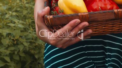 Attractive Young Lady Holding Basket of Organic Vegetables