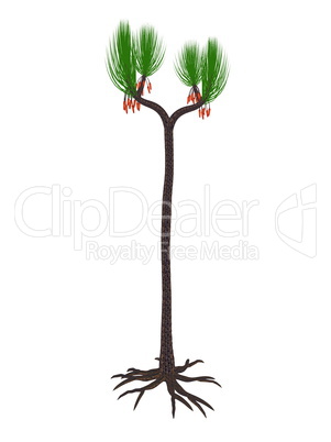 Sigillaria scutellata prehistoric plant - 3D render